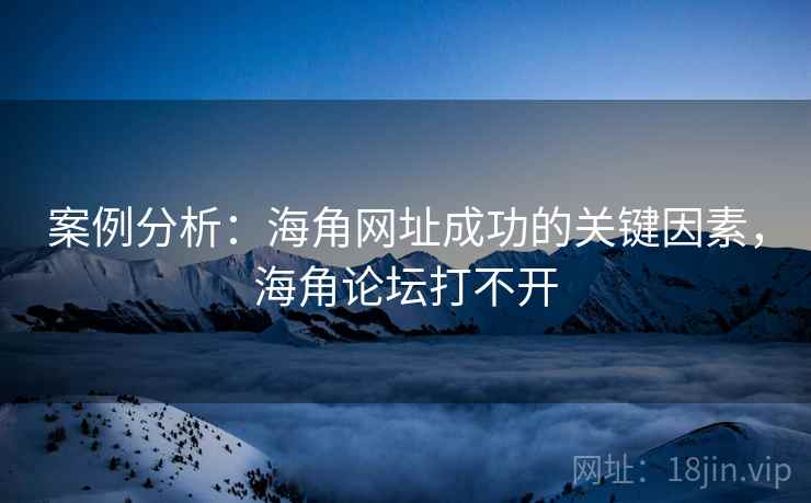 案例分析：海角网址成功的关键因素，海角论坛打不开