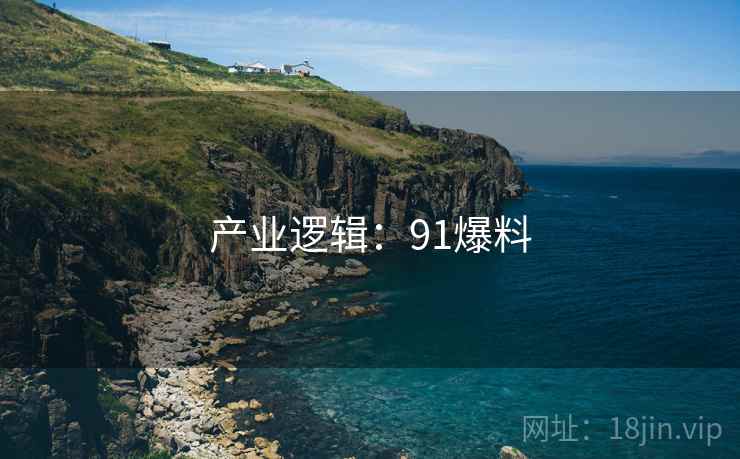 产业逻辑：91爆料