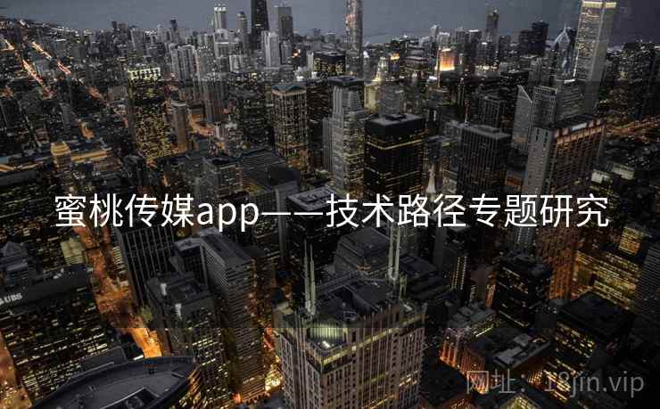 蜜桃传媒app——技术路径专题研究