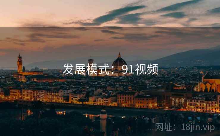 发展模式：91视频
