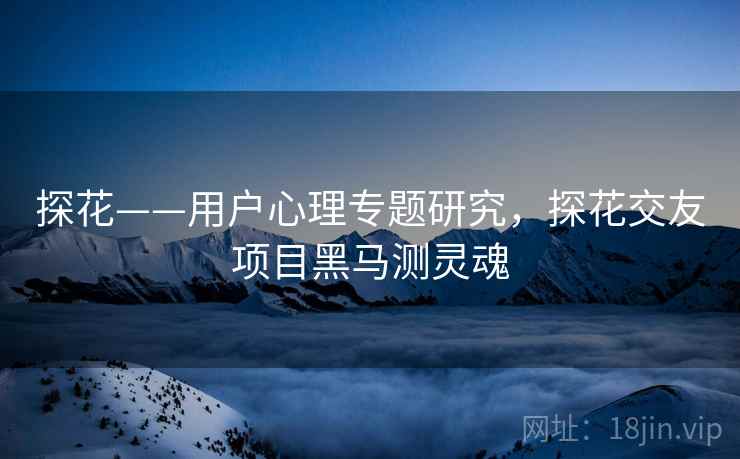 探花——用户心理专题研究，探花交友项目黑马测灵魂