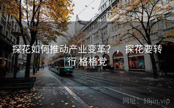 探花如何推动产业变革？，探花要转行 格格党