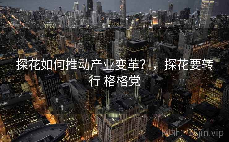探花如何推动产业变革？，探花要转行 格格党