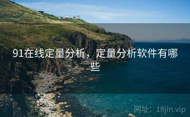 91在线定量分析，定量分析软件有哪些