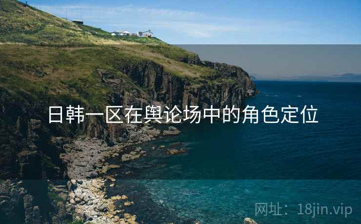 日韩一区在舆论场中的角色定位