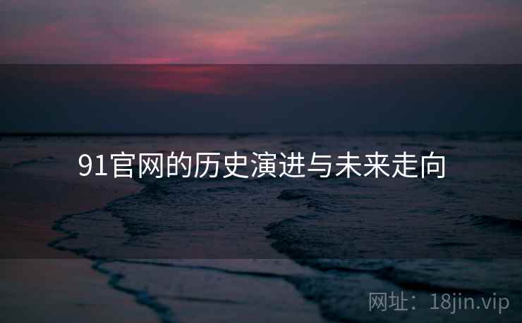 91官网的历史演进与未来走向