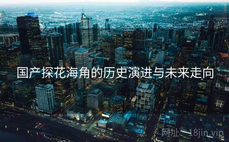 国产探花海角的历史演进与未来走向