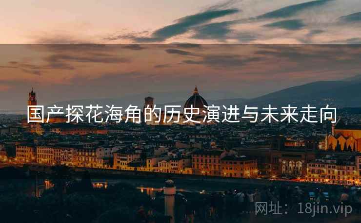 国产探花海角的历史演进与未来走向