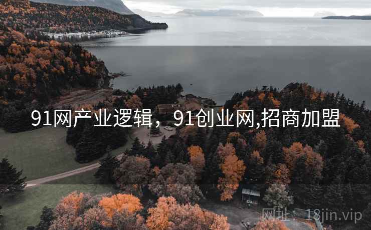 91网产业逻辑，91创业网,招商加盟