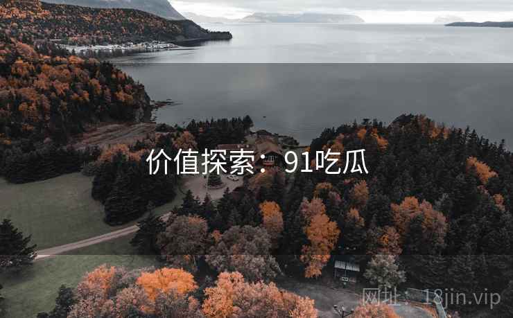 价值探索：91吃瓜