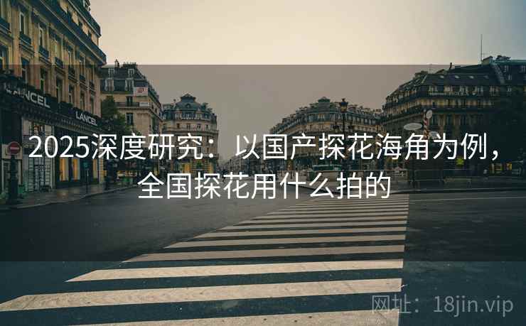 2025深度研究：以国产探花海角为例，全国探花用什么拍的