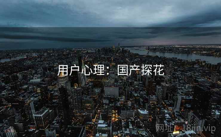 用户心理：国产探花