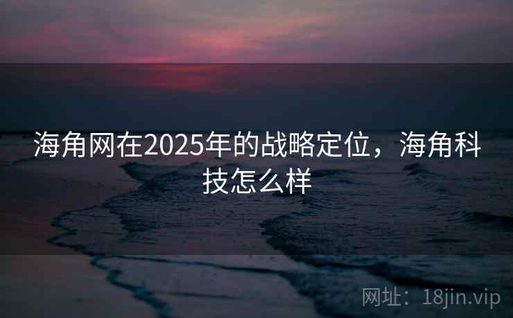 海角网在2025年的战略定位，海角科技怎么样
