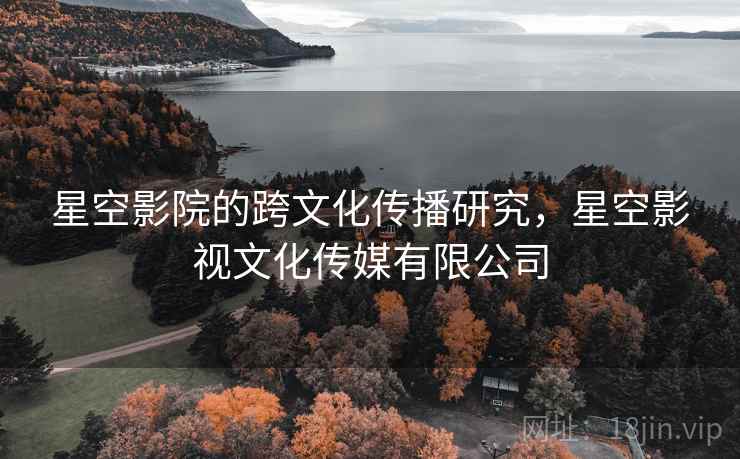 星空影院的跨文化传播研究，星空影视文化传媒有限公司