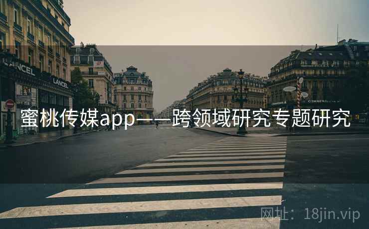 蜜桃传媒app——跨领域研究专题研究
