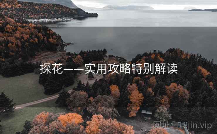 探花——实用攻略特别解读