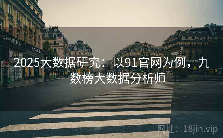 2025大数据研究：以91官网为例，九一数榜大数据分析师