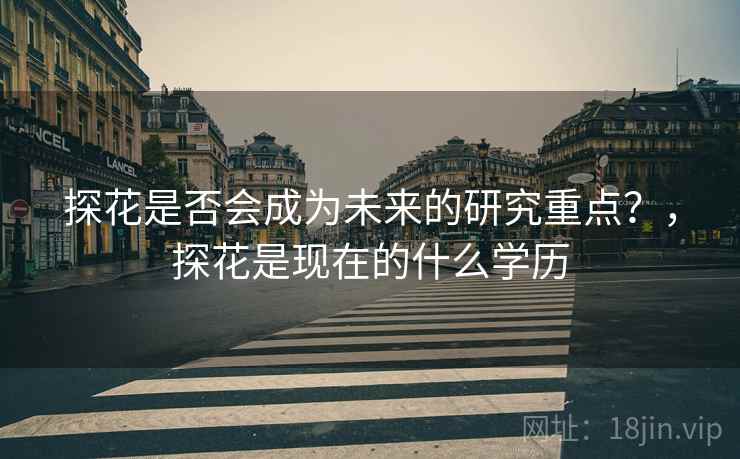 探花是否会成为未来的研究重点？，探花是现在的什么学历