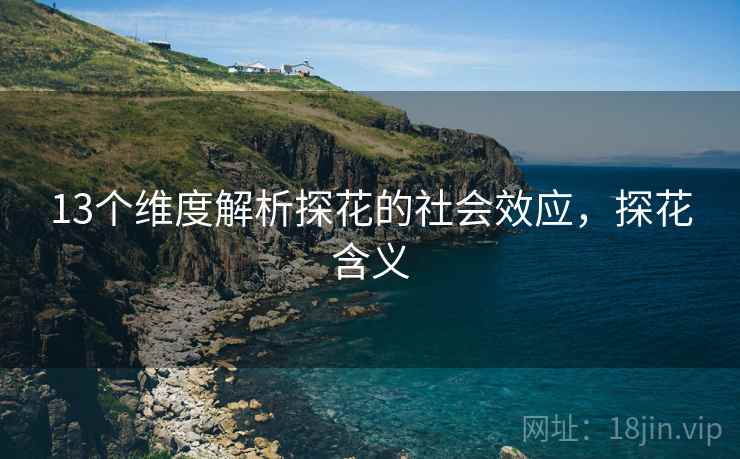 13个维度解析探花的社会效应，探花含义