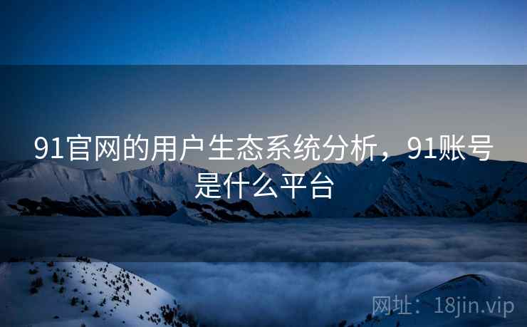 91官网的用户生态系统分析，91账号是什么平台