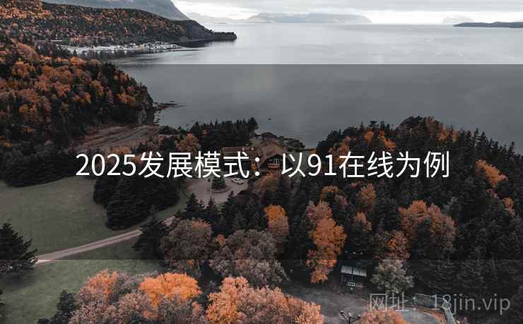 2025发展模式：以91在线为例