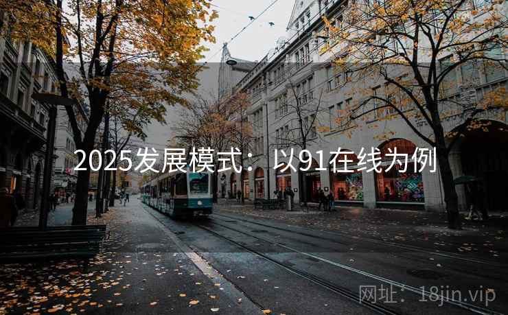2025发展模式：以91在线为例
