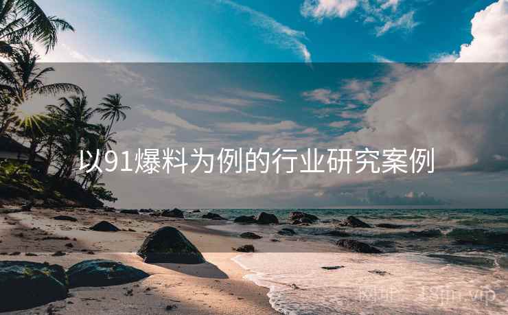 以91爆料为例的行业研究案例