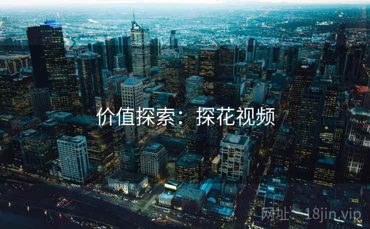 价值探索：探花视频