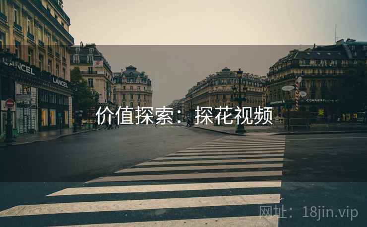 价值探索：探花视频
