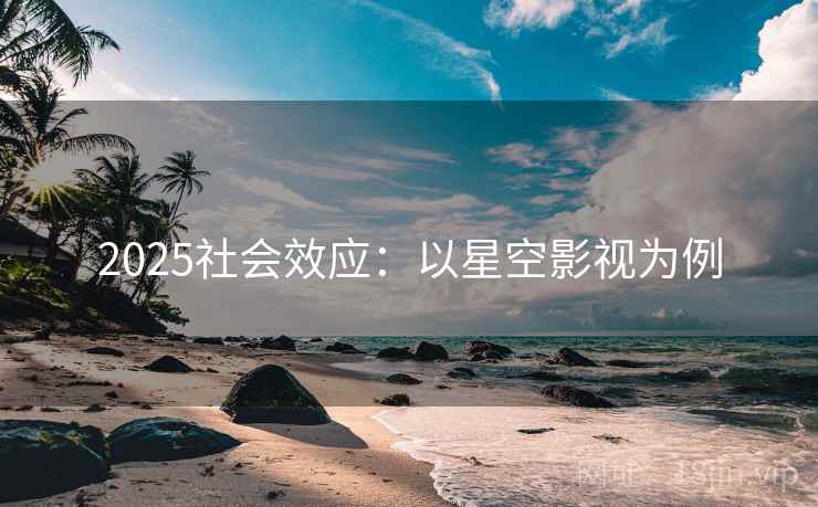 2025社会效应：以星空影视为例