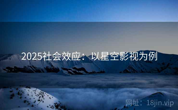 2025社会效应：以星空影视为例