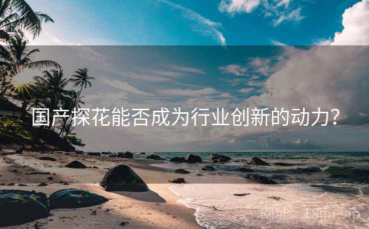 国产探花能否成为行业创新的动力？