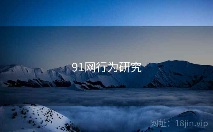 91网行为研究