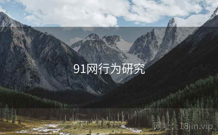 91网行为研究