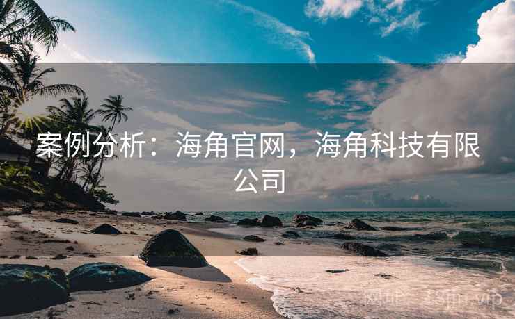案例分析:海角官网,海角科技有限公司 案例分析:海角官网,海角科技有限公司