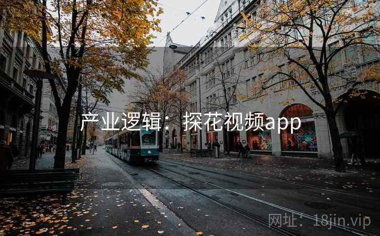 产业逻辑:探花视频app 产业逻辑:探花视频app