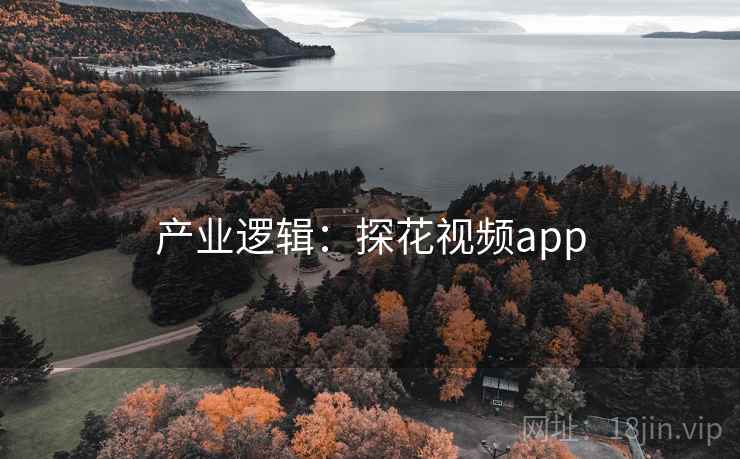 产业逻辑:探花视频app 产业逻辑:探花视频app