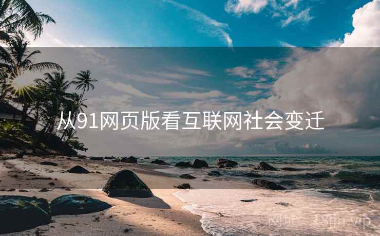 从91网页版看互联网社会变迁